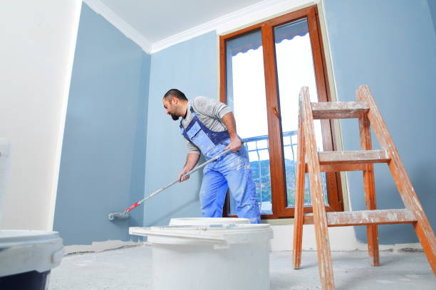 Best Mold-Related Health Consultation  in Hanover, OH