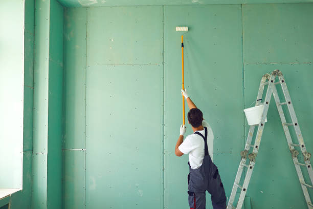 Best Real Estate Mold Inspection  in Hanover, OH
