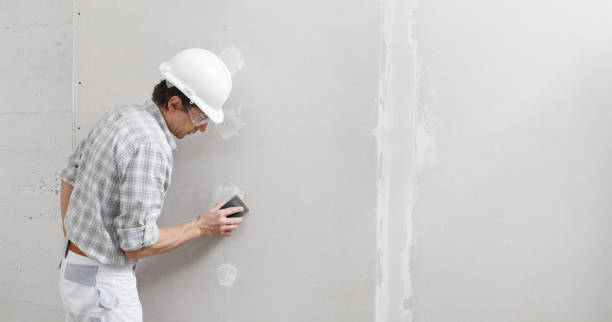 Best Mold Damage Restoration  in Hanover, OH