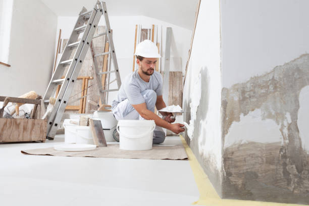 Best Attic Mold Removal  in Hanover, OH