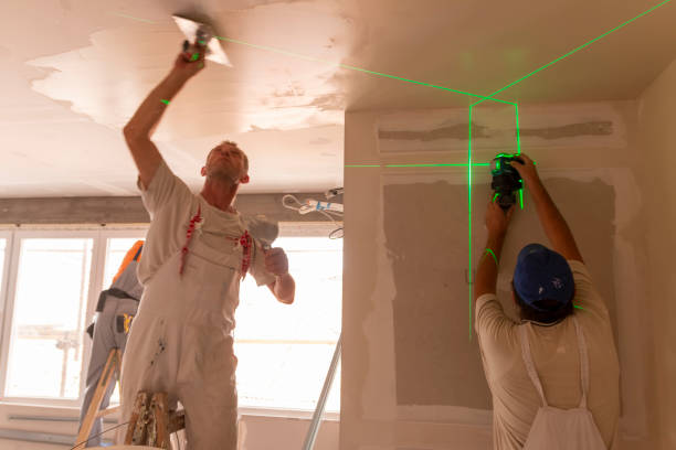 Best Emergency Mold Remediation  in Hanover, OH