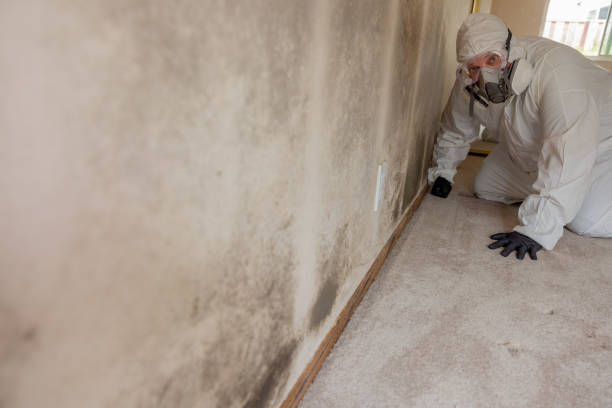 Mold Removal for HVAC Installations in Hanover, OH