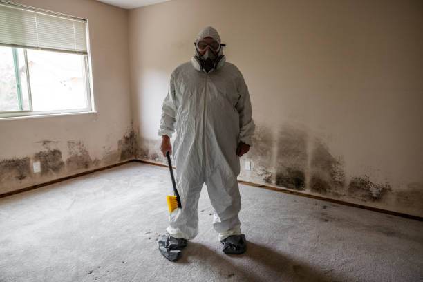 Best Residential Mold Inspection & Testing  in Hanover, OH