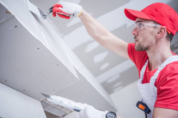 Best Mold Odor Removal Services  in Hanover, OH